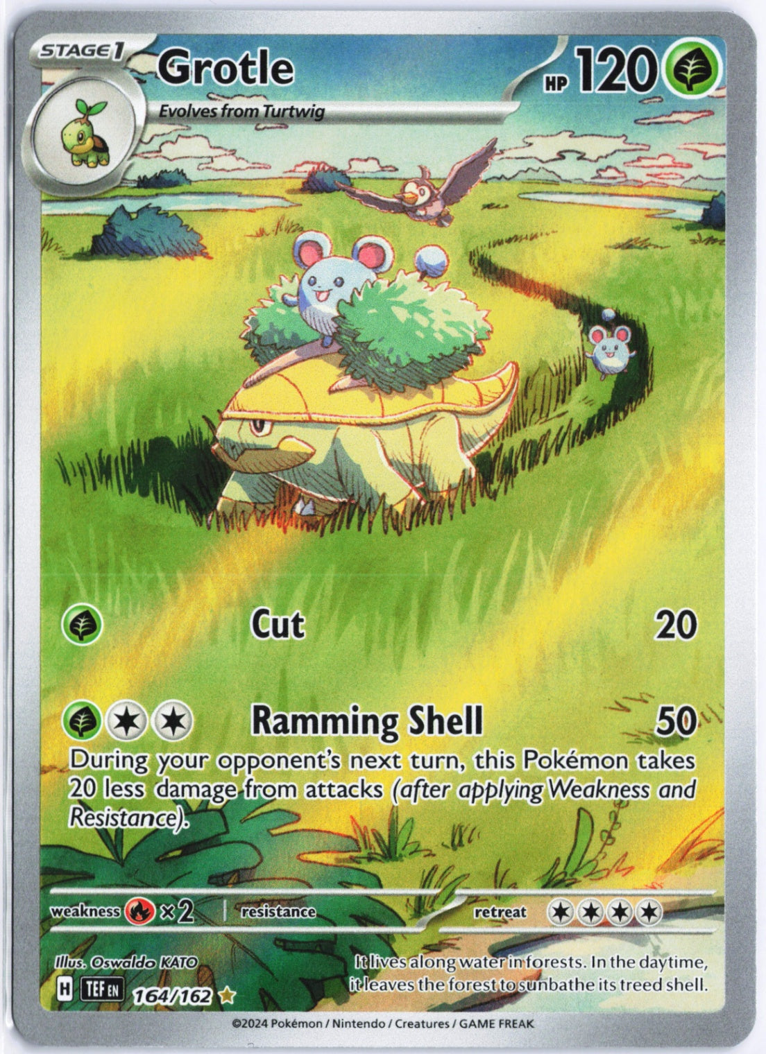 Grotle Illustration Rare SV05: Temporal Forces 164/162 NM