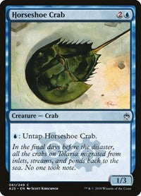 Horseshoe Crab - Masters 25 - 61