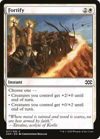 Fortify - Double Masters - 17