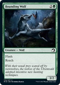 Bounding Wolf - Innistrad: Midnight Hunt - 170