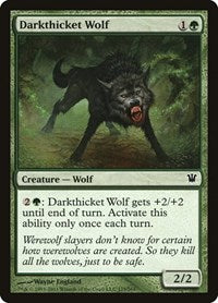 Darkthicket Wolf - Innistrad - 175
