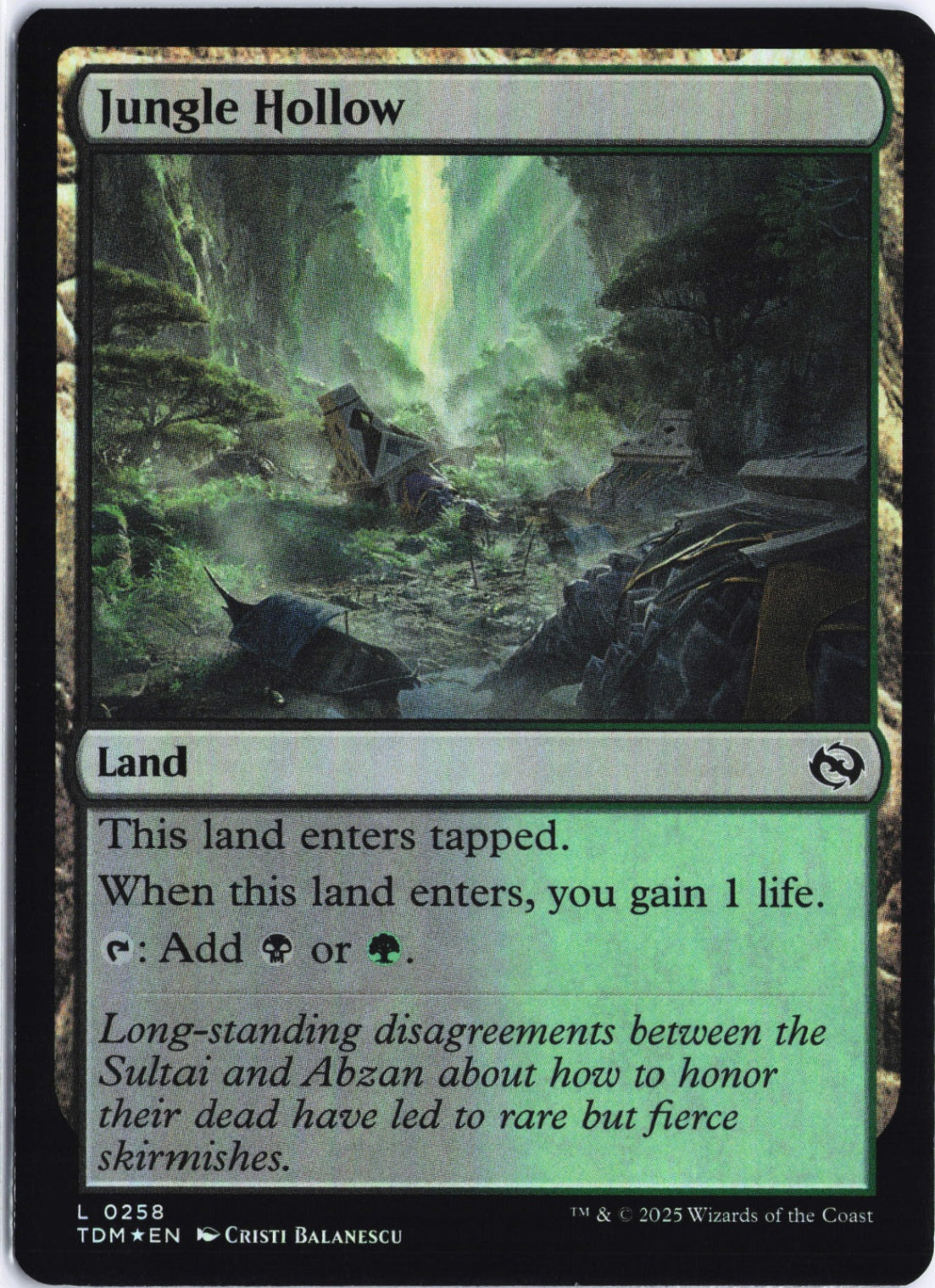 Jungle Hollow L Tarkir: Dragonstorm 258 NM