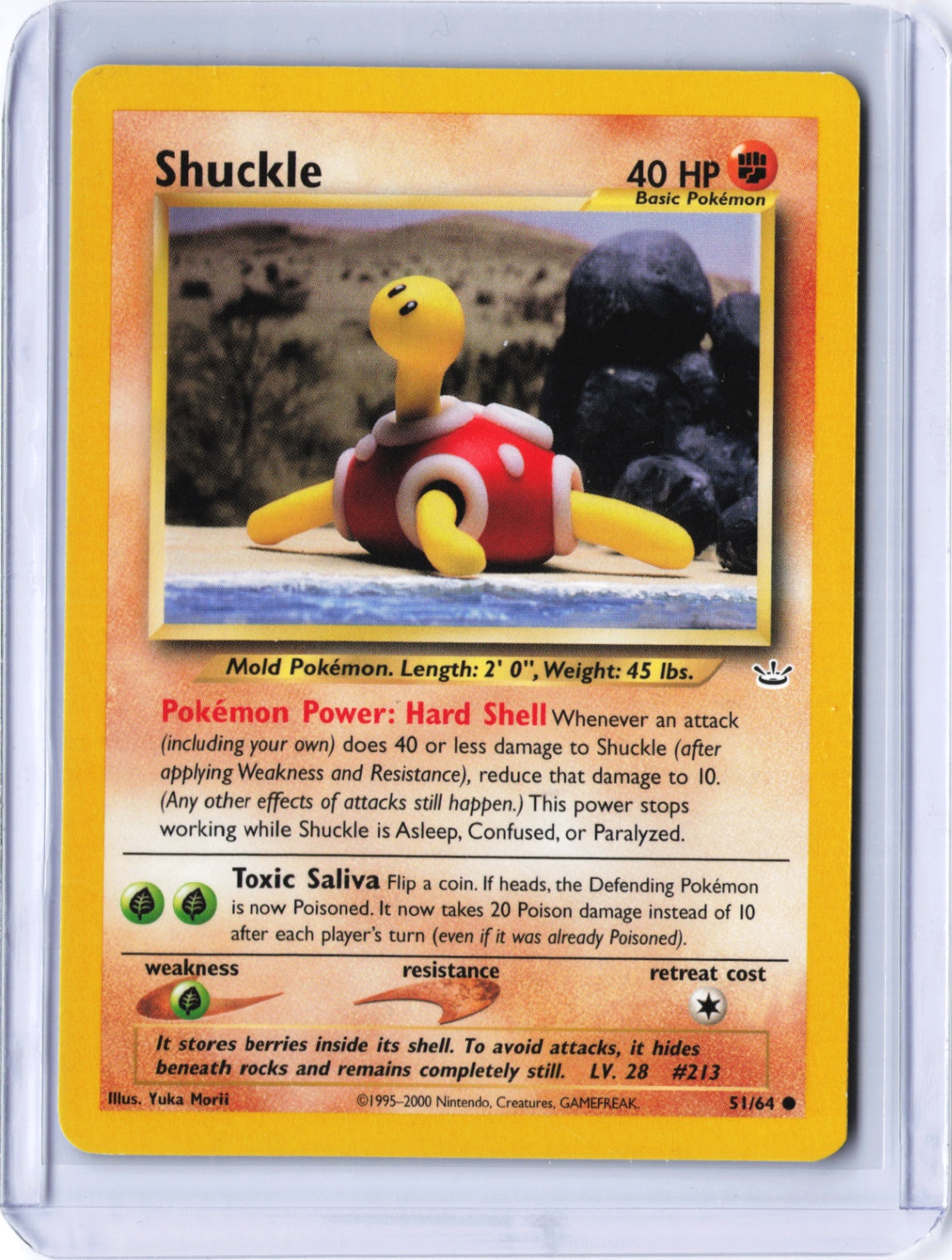 Shuckle Common Neo Revelation 51/64 NM