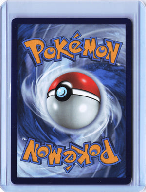 Welcoming Lantern (Secret) Secret Rare SWSH06: Chilling Reign 230/198 NM (Back)