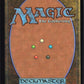 Cryptic Coat R Murders at Karlov Manor 50 NM (Back)