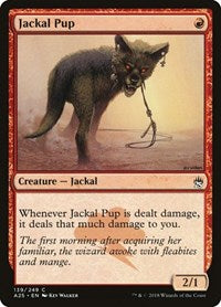 Jackal Pup - Masters 25 - 139