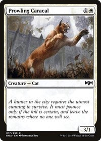 Prowling Caracal - Ravnica Allegiance - 17