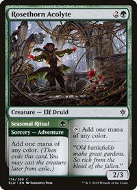 Rosethorn Acolyte - Throne of Eldraine - 174