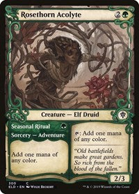 Rosethorn Acolyte (Showcase) - Throne of Eldraine - 300