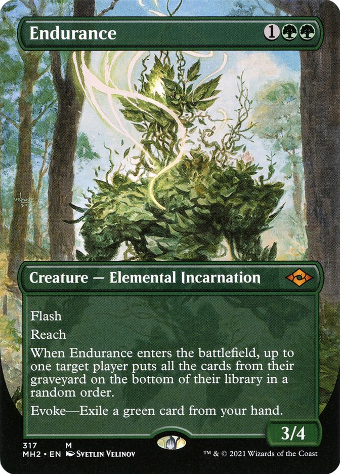 Endurance - Modern Horizons 2 #317