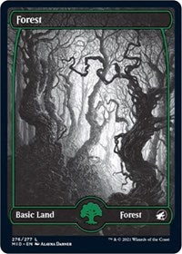 Forest (276) - Innistrad: Midnight Hunt - 276