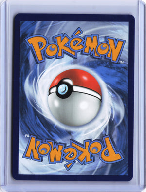 Lance's Charizard V - Promo SWSH: Sword & Shield Promo Cards SWSH133 NM (Back)