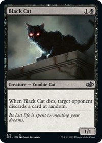 Black Cat - Jumpstart 2022 - 377