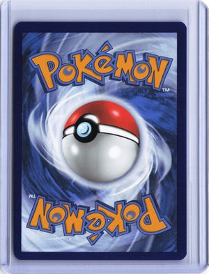 Miraidon - Promo SV: Scarlet & Violet Promo Cards 013 NM (Back)