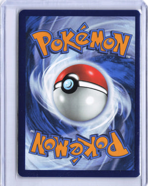 Luxurious Cape - Hyper Rare SV04: Paradox Rift 265/182 NM (Back)