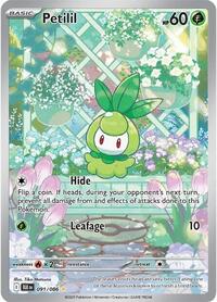 Petilil - Pokemon Black Bolt #091/086