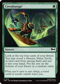 Cowabunga! - Teenage Mutant Ninja Turtles - 113