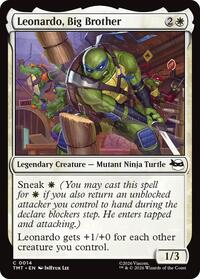 Leonardo, Big Brother - Teenage Mutant Ninja Turtles - 14