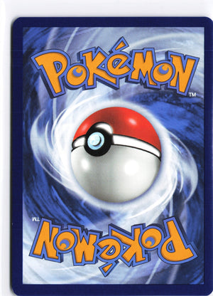 Garchomp ex Hyper Rare SV04: Paradox Rift 260/182 NM (Back)