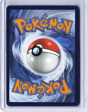 Lance's Charizard V - Promo SWSH: Sword & Shield Promo Cards SWSH133 NM (Back)