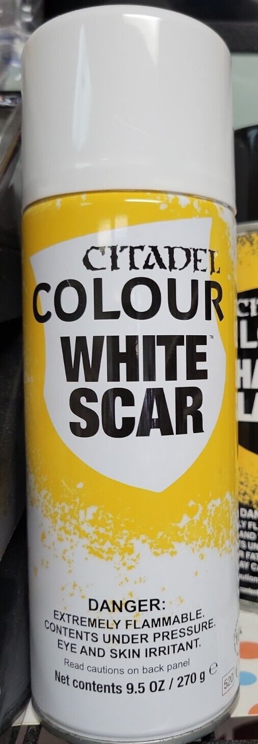 Citadel Chaos Black Spray Paint 9.9 oz