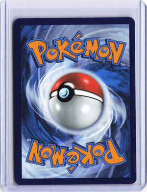 Garchomp ex - Special Illustration Rare SV04: Paradox Rift 245/182 NM (Back)