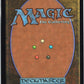 Forest () L Murders at Karlov Manor 285 NM (Back)