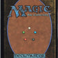 Stormshriek Feral C Tarkir: Dragonstorm 124 NM (Back)