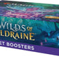 Magic: The Gathering - Wilds of Eldraine Set Booster Box