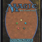 Adorned Crocodile C Tarkir: Dragonstorm 69 NM (Back)