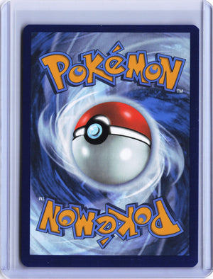 Tornadus - Promo SV: Scarlet & Violet Promo Cards 210 NM (Back)