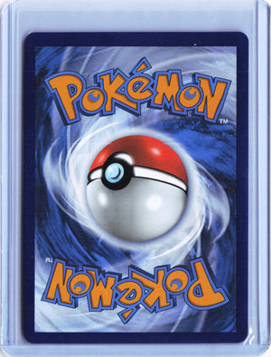 Lucario VSTAR - Promo SWSH: Sword & Shield Promo Cards SWSH291 NM (Back)