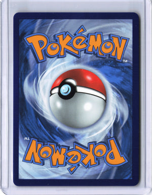 Raikou Amazing Rare SWSH04: Vivid Voltage 050/185 NM (Back)