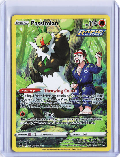 Passimian Ultra Rare SWSH12: Silver Tempest Trainer Gallery TG08/TG30 NM