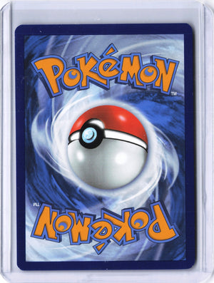 Dachsbun ex Special Illustration Rare SV07: Stellar Crown 169/142 NM (Back)