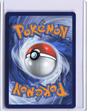 Charizard ex Promo SV: Scarlet & Violet Promo Cards 196 NM (Back)